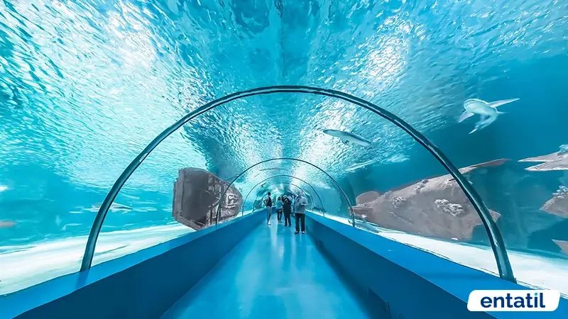Antalya Akvaryum