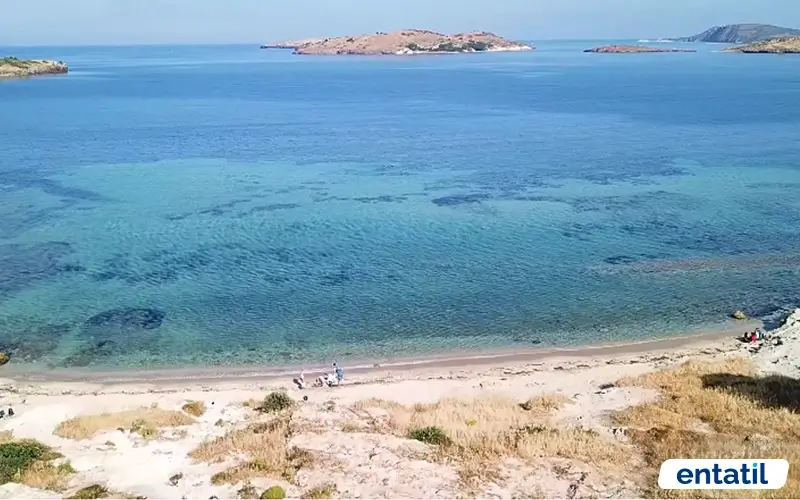 Çanak Koyu
