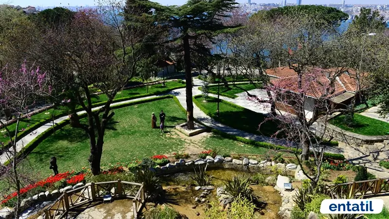 Fethipaşa Korusu