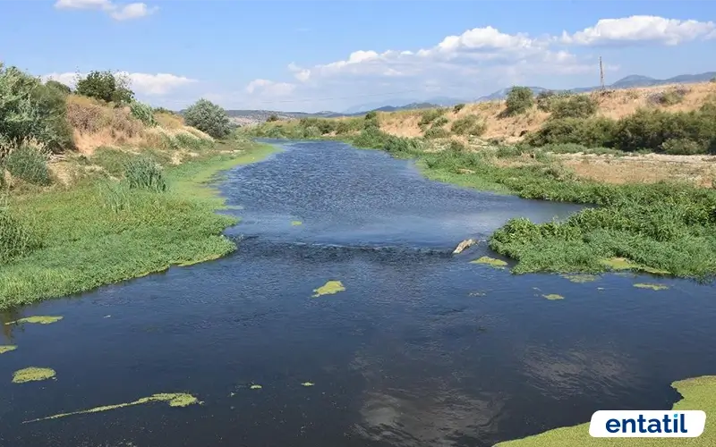 Gediz Nehri