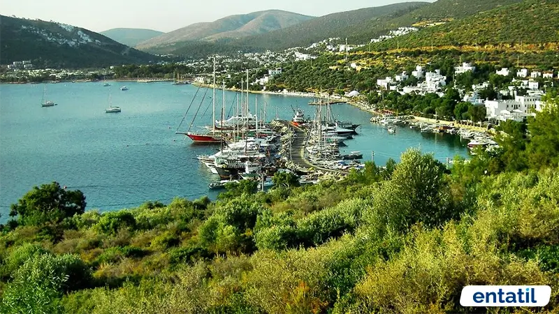 Torba Koyu