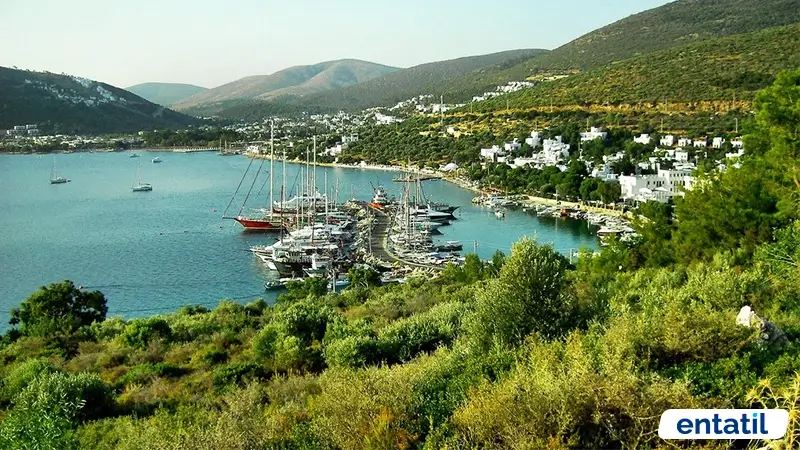 Torba