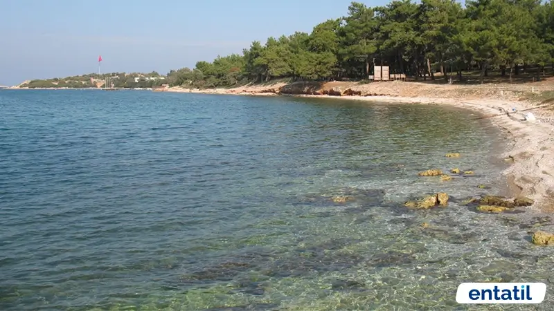 Usuluk Koyu Tabiat Parkı
