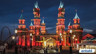Vialand Giriş Ücreti 2022