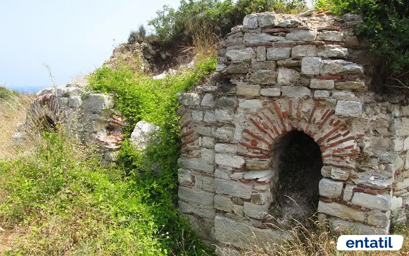 Anastasius Surları