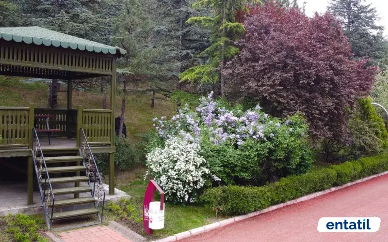 Atatürk Botanik Bahçesi