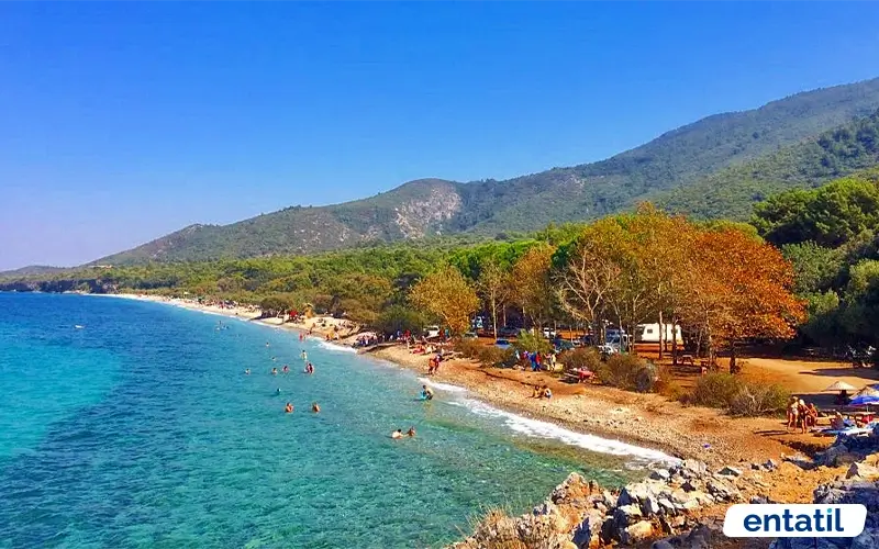 Aydınlık Koyu