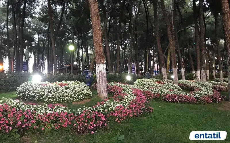Aytepe Barış Parkı