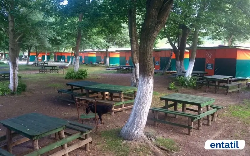 Ağva Green Park Camping