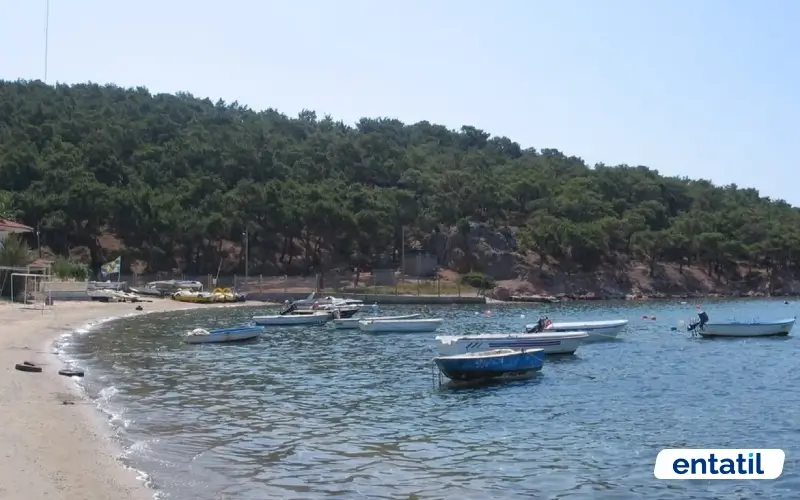 Badavut Plajı
