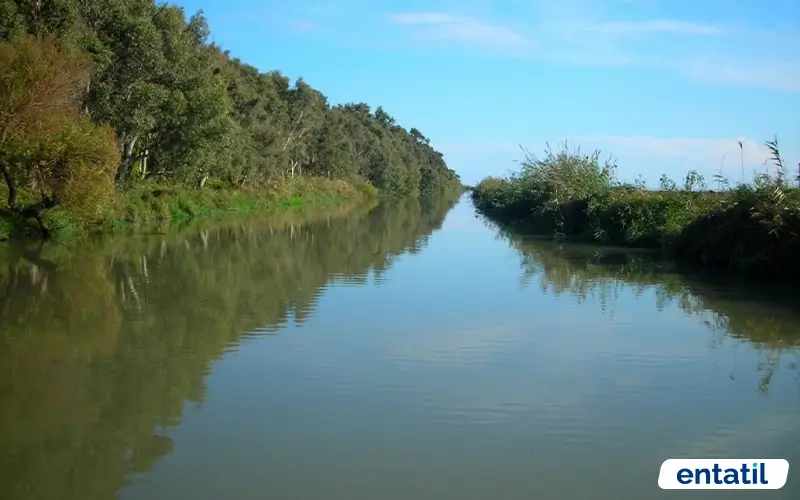 Berdan Nehri