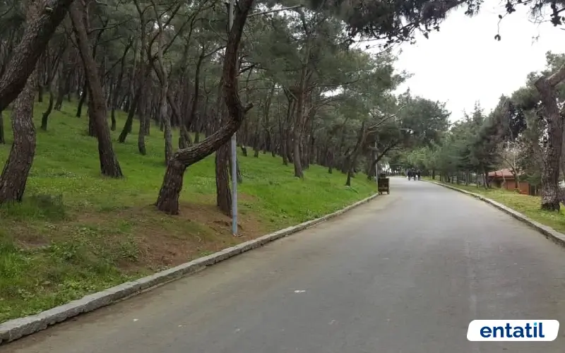 Büyükada Tabiat Parkı