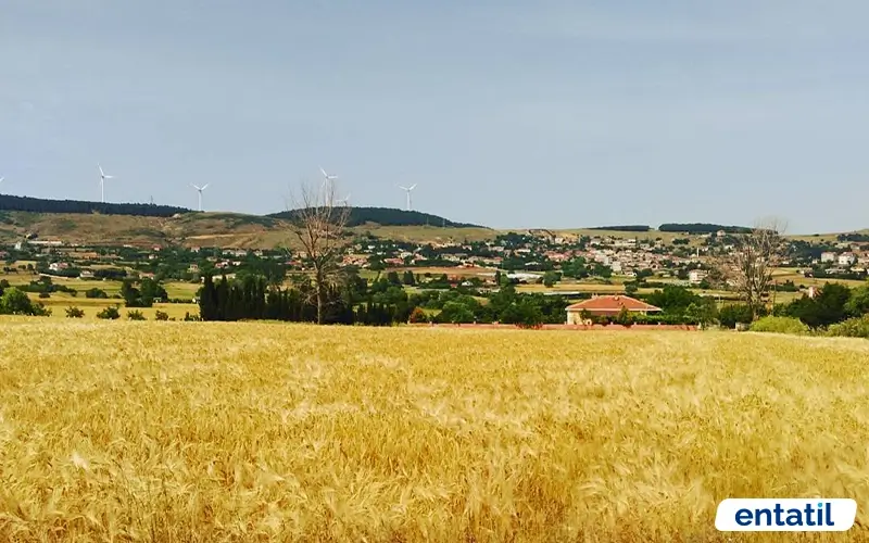 Çakıl Köyü