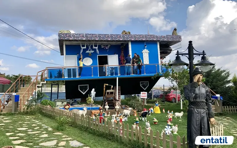 Çatalca Ters Ev