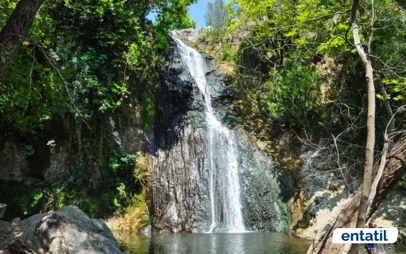 Ece Çağlayanı