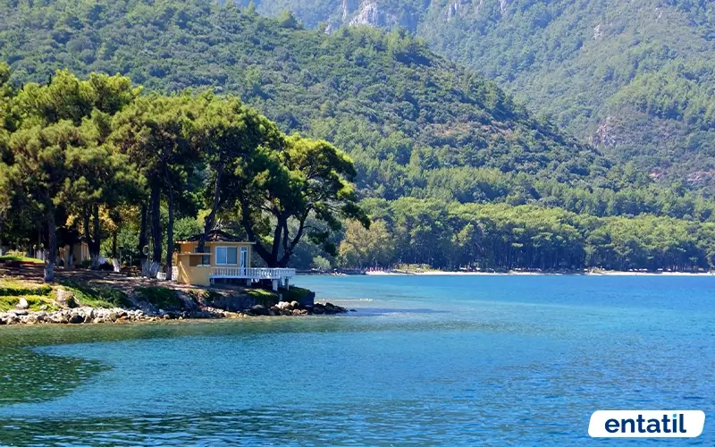 Kavaklıburun Koyu
