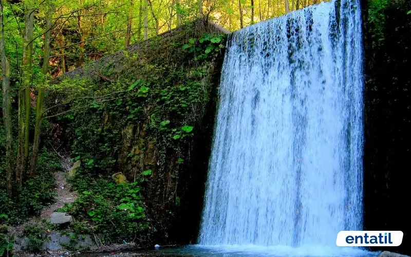 Maşukiye Şelalesi