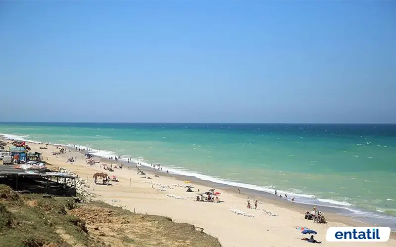 Ormanlı Köyü