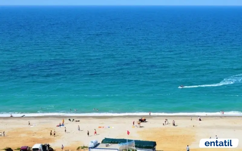 Ormanlı Plajı