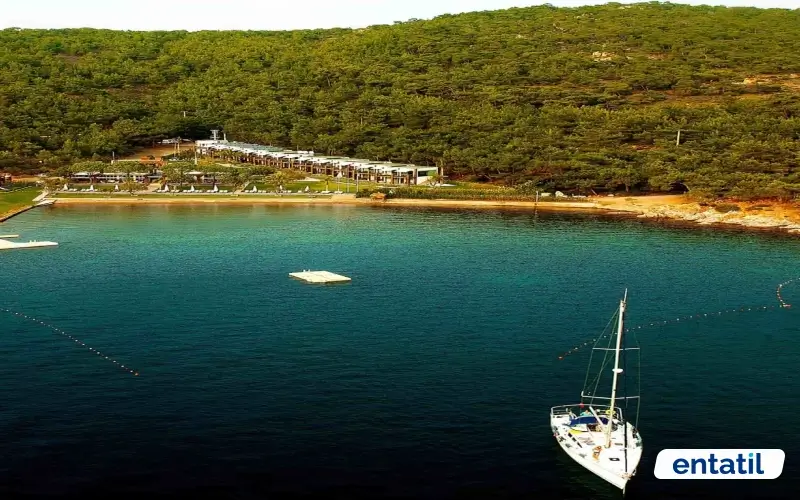 Ortunç Koyu