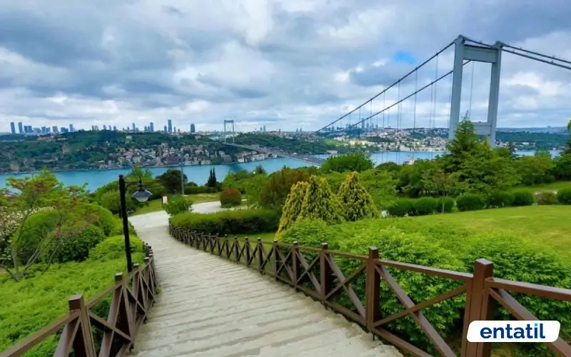 Otağtepe Fatih Korusu