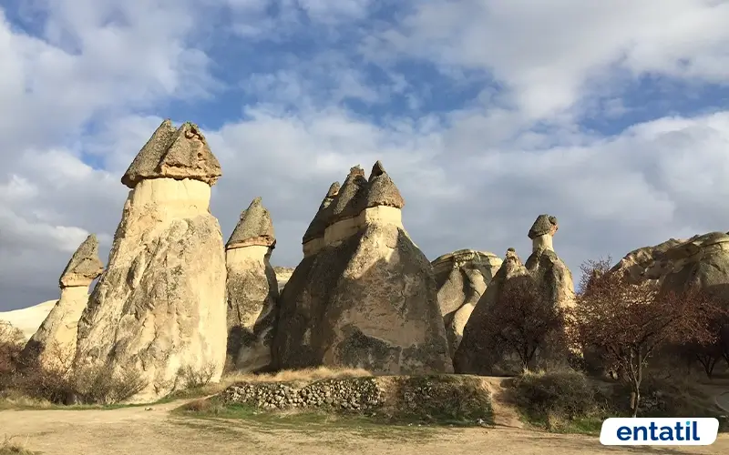 Paşabağı
