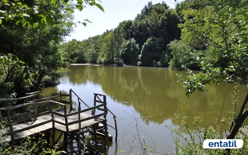 Polonezköy