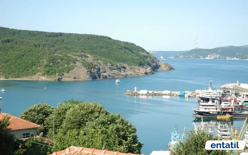 Poyraz Limanı Koyu