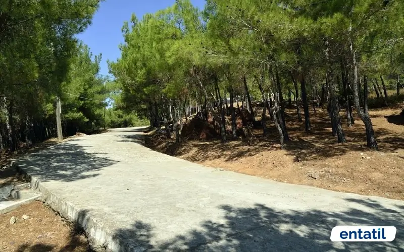 Sarımsaklı Tabiat Parkı