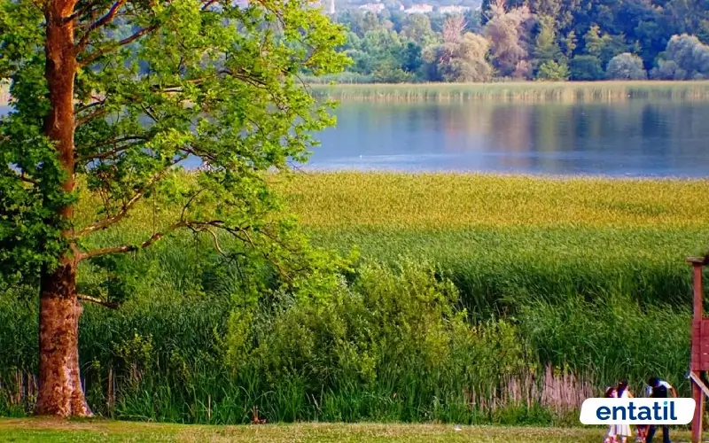 Seka Park Piknik Alanı