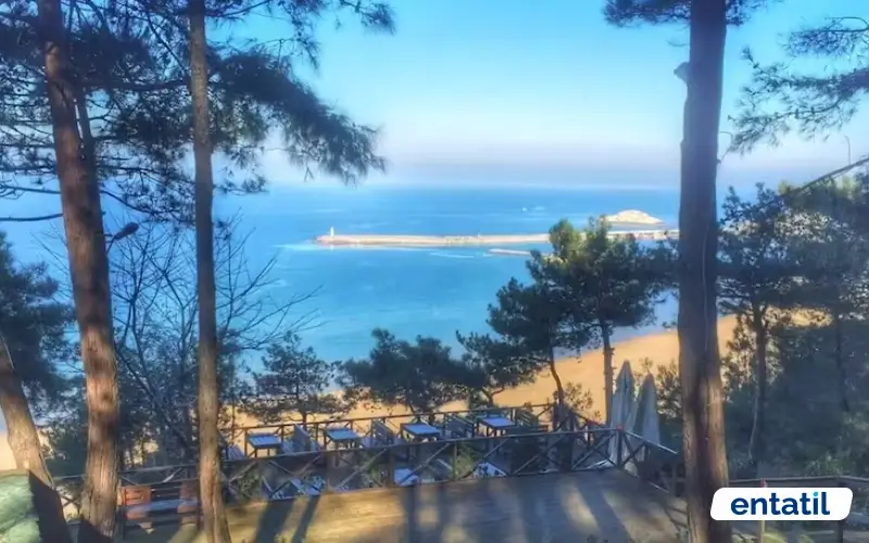 Serintepe Piknik Alanı