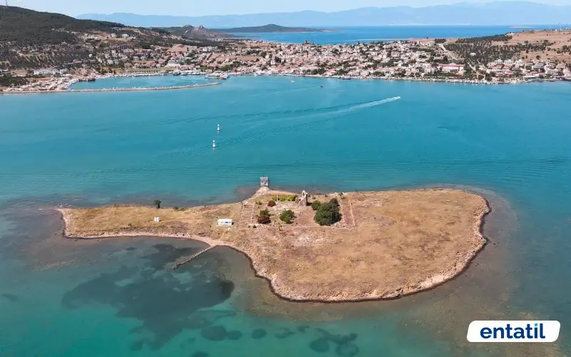 Tavuk Adası