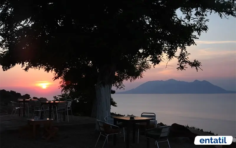 Tepeköy Çınaraltı