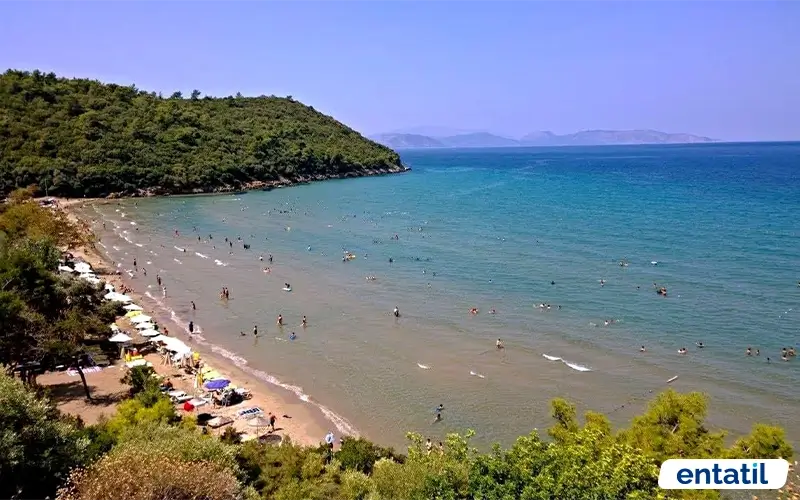 Uzun Sahil