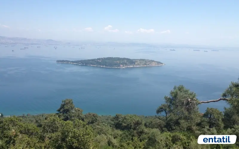 Yücetepe