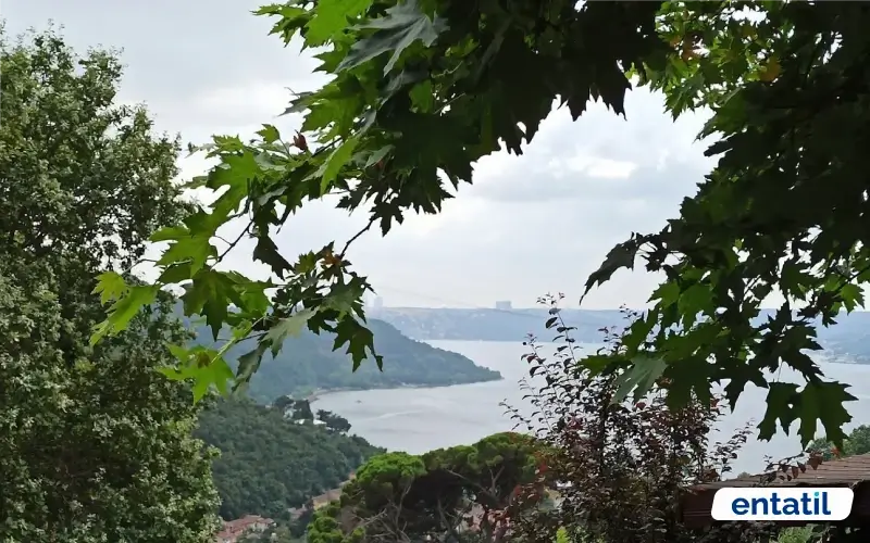 Çam Vadisi Mesire Alanı
