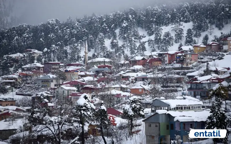 Akçatekir Yaylası