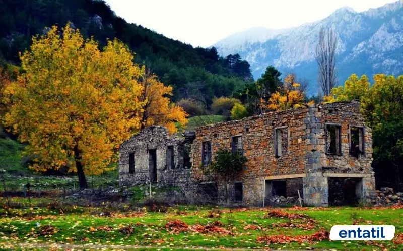 Beledemik Vadisi