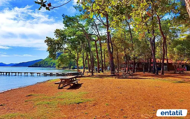Çabucak Tabiat Parkı ve Kamp Alanı