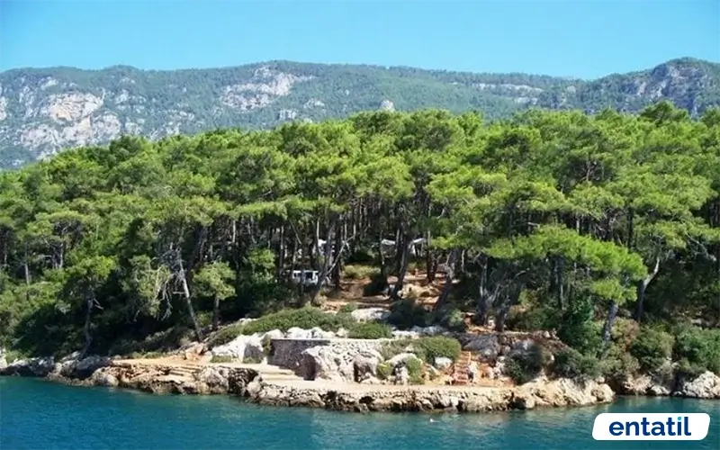 Çetibeli Orman Kampı