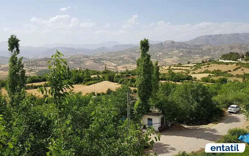 Damlacık Garden Kamping
