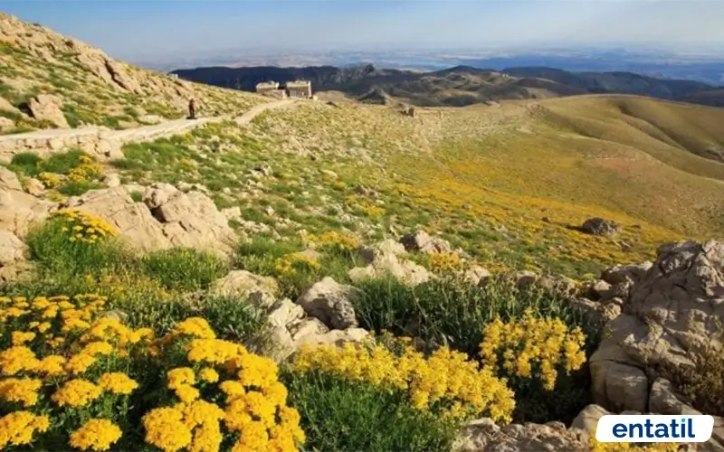 Değirmen Başı Mesire Yeri