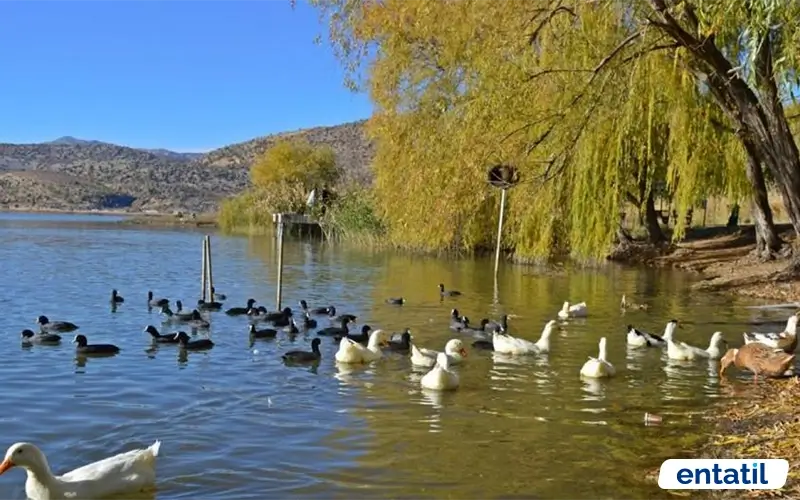 Gölbaşı Gölleri Tabiat Parkı