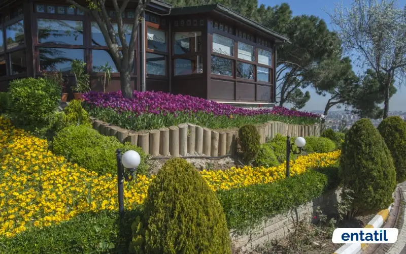 Gözdağı Korusu - Pendik