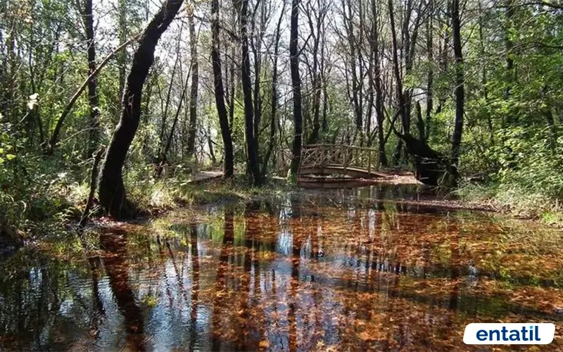 Marmaris Milli Parkı