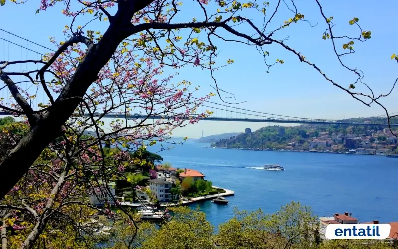 Mıhrabat Korusu - Beykoz