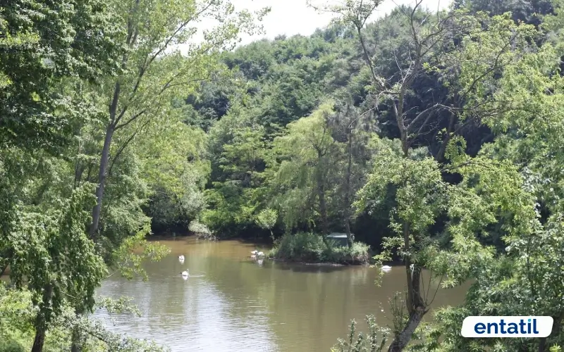 Polonezköy Tabiat Parkı - Beykoz