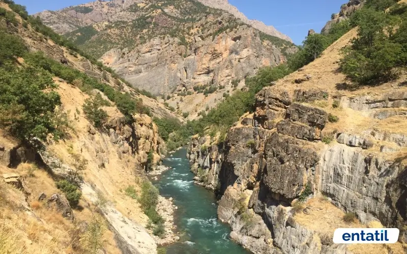 Çakın Vadisi