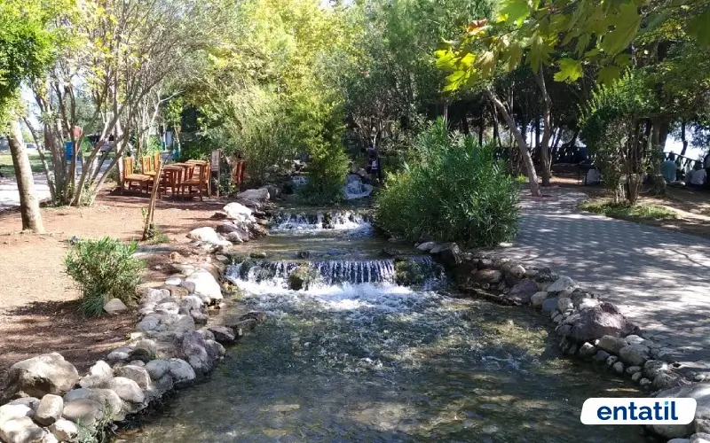 Çobandede Yerel Kuş Parkı