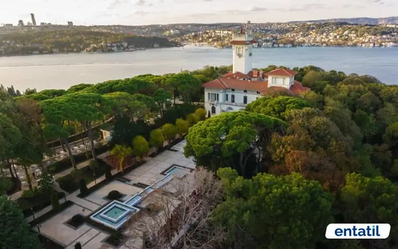 Çubuklu Korusu - Beykoz